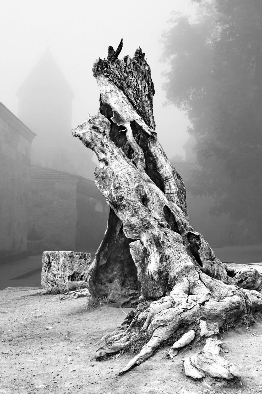 , Гагик Мхитарян