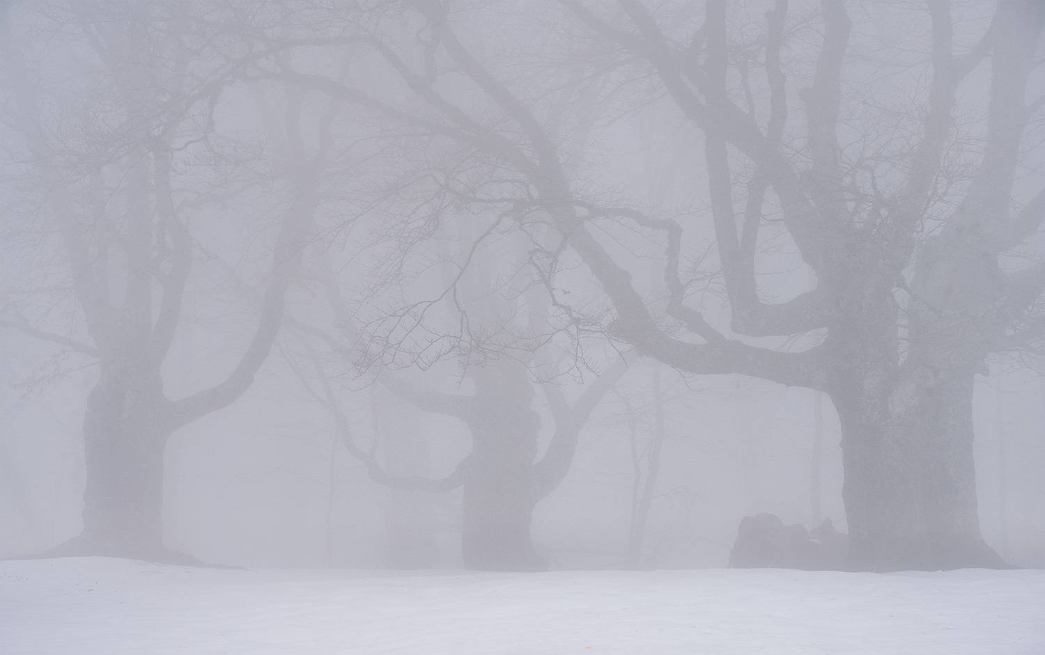 , Андрей Родионов