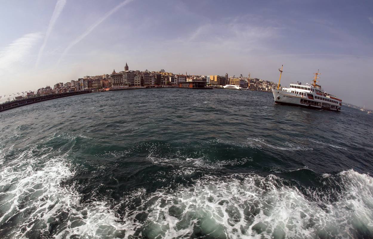 , Новикова Ольга