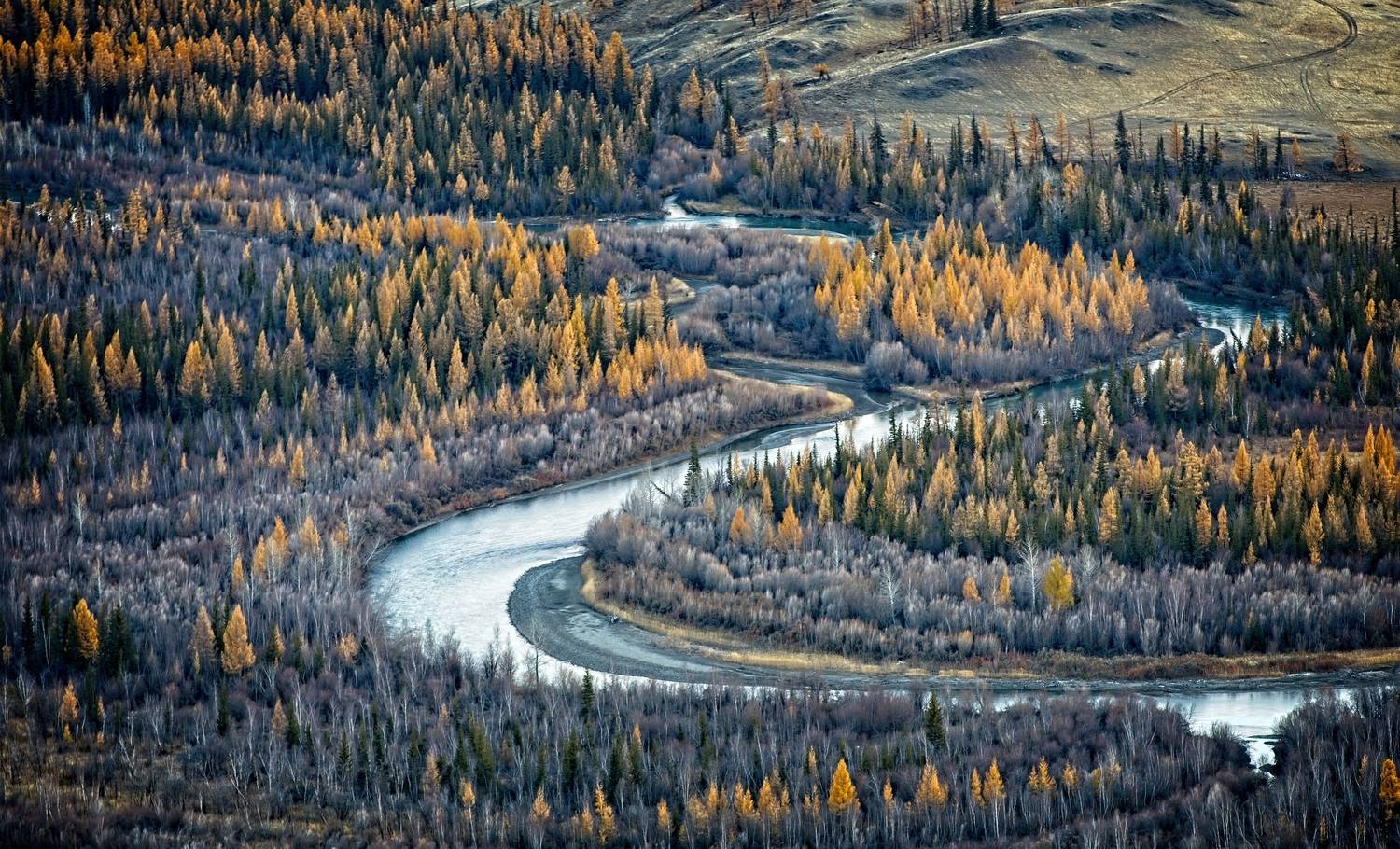 , Игорь Щербаков