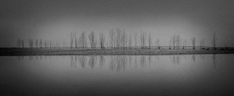 Пулсът на Живота фото превью