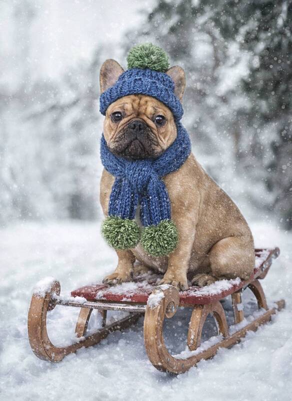 Зимние забавы фото превью