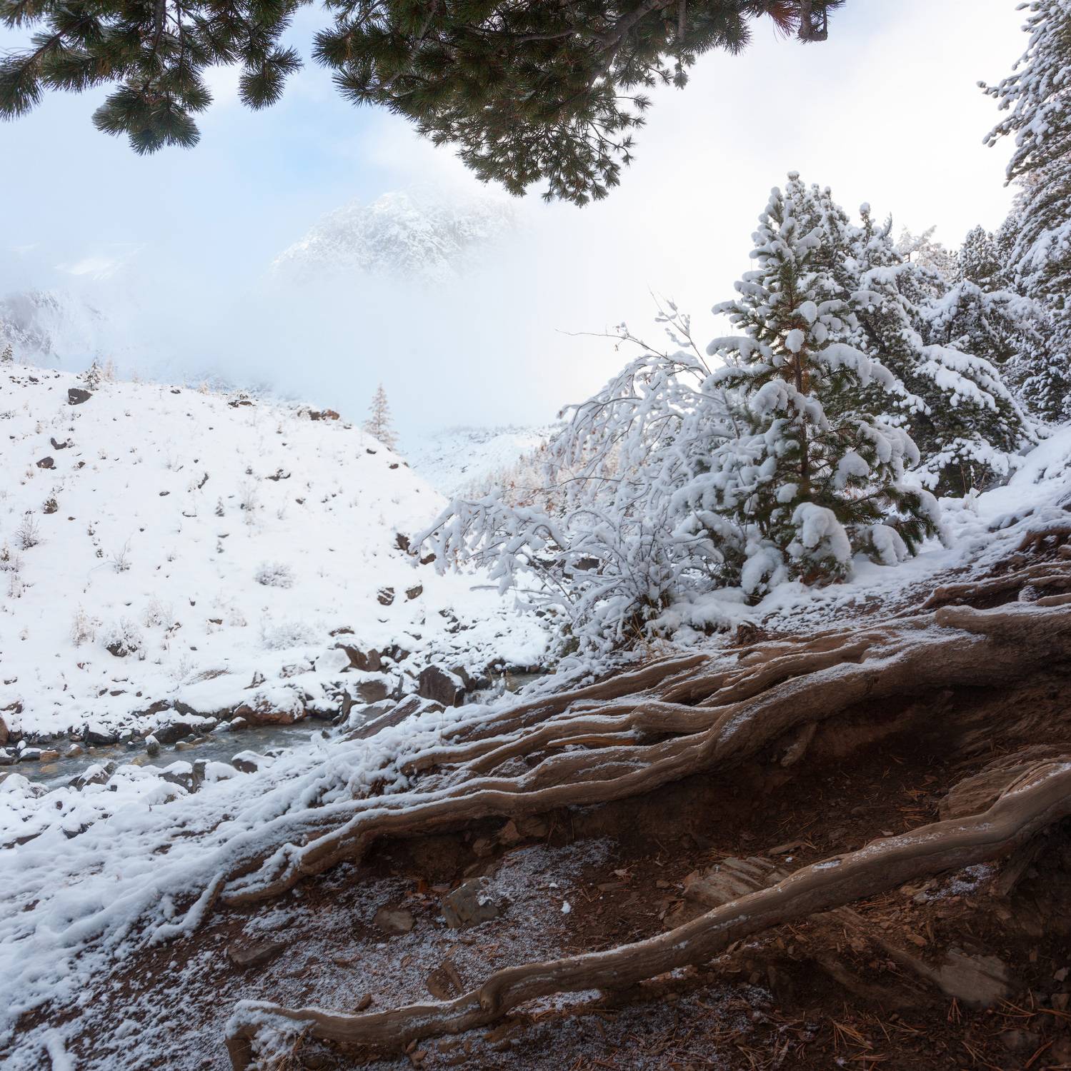 , Сергей Молоков