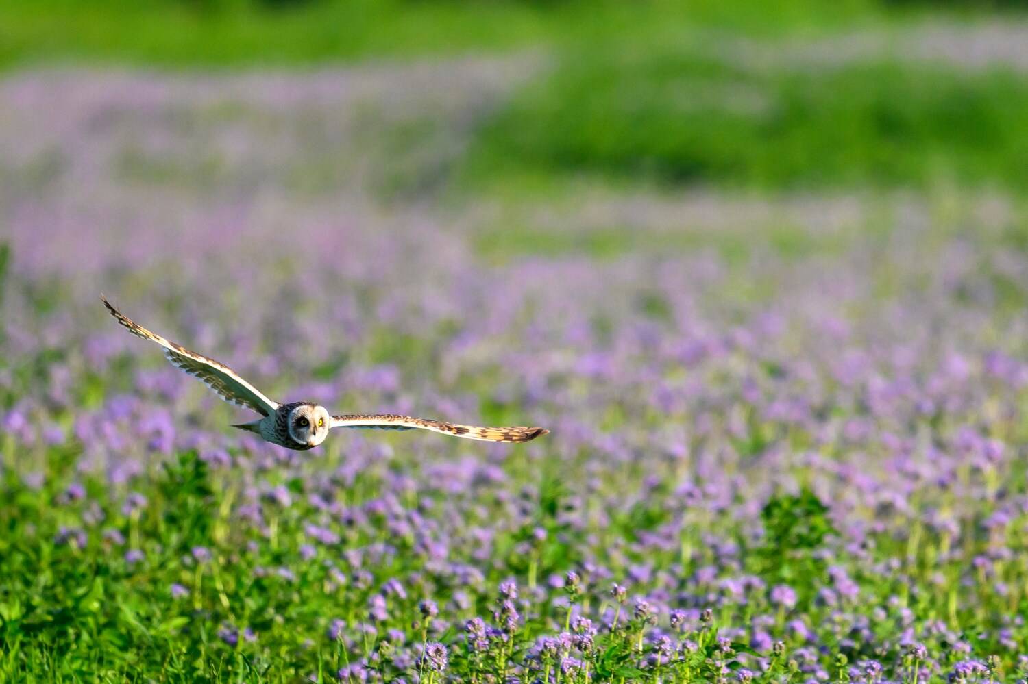 , Пупонин Сергей