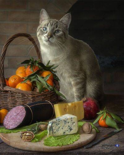 Гастрономический натюрморт с Айсом