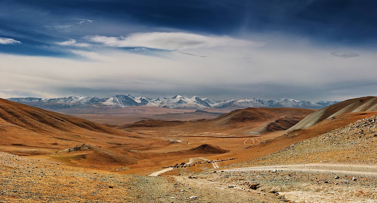 , Пичугин Дмитрий