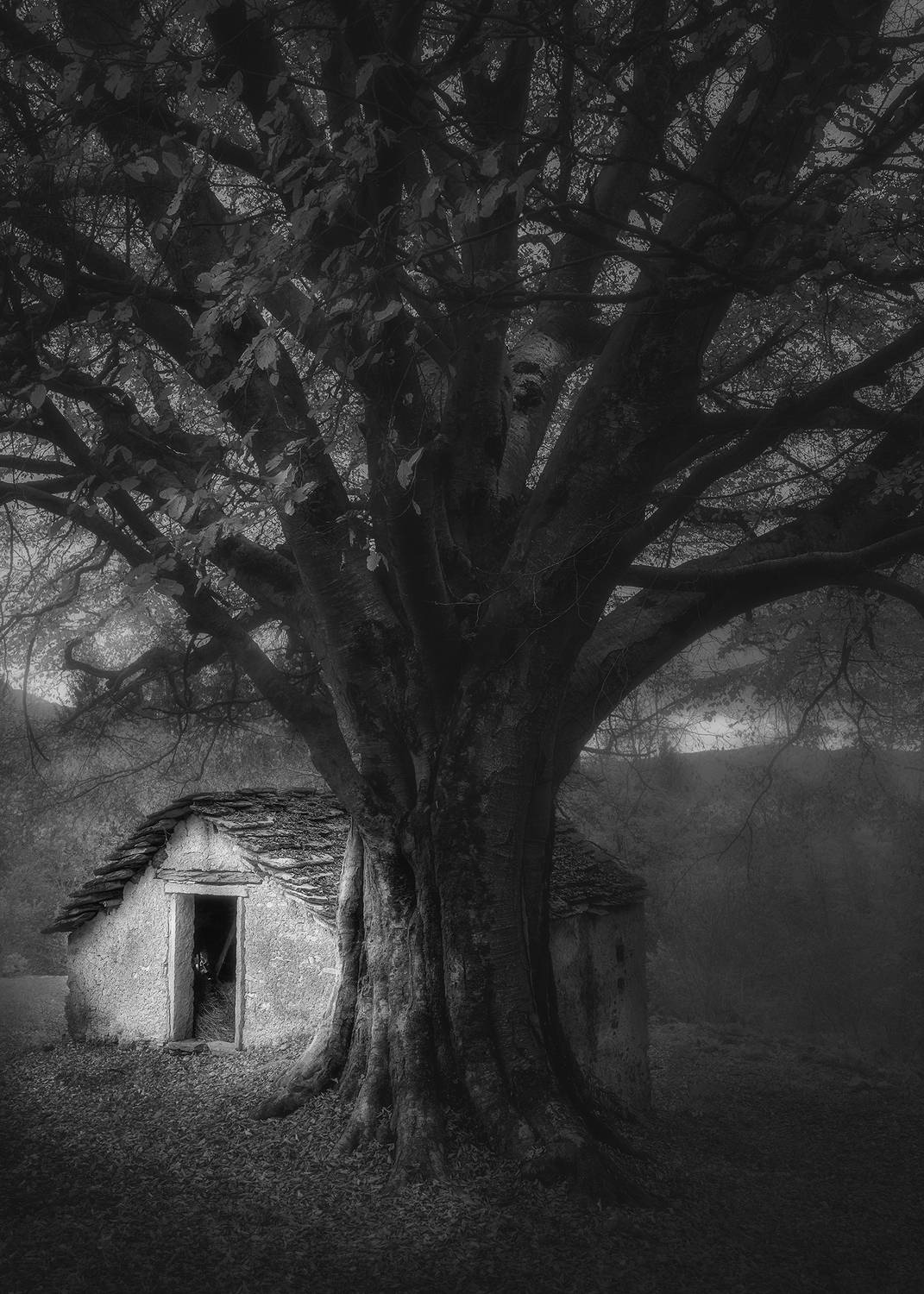 , de Franzoni Thomas