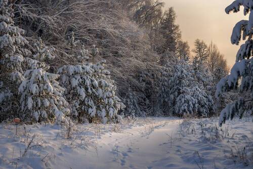Вечер после снегопада