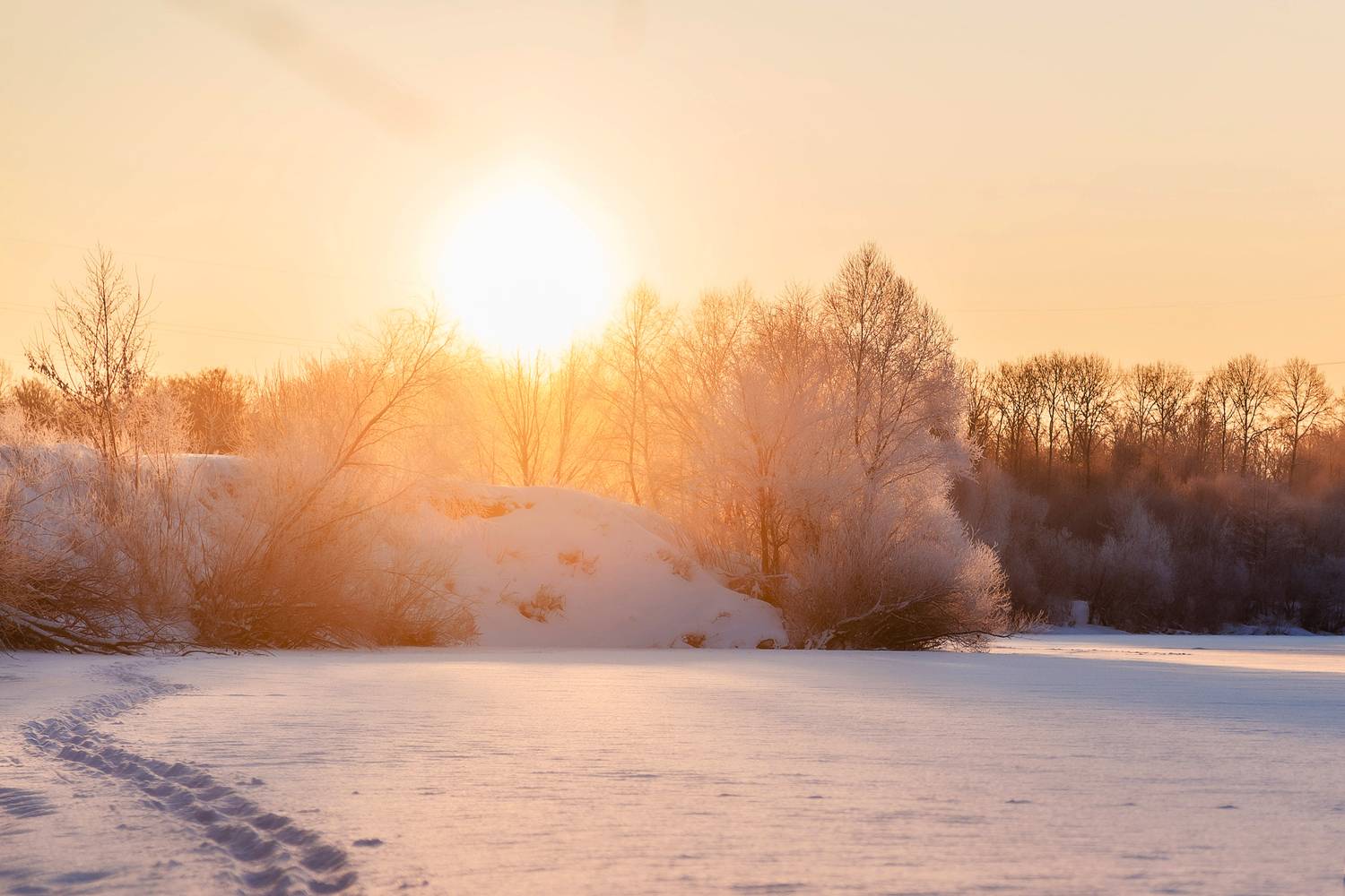 Владимир, Владимирская область, природа России, Татьяна Кормашова