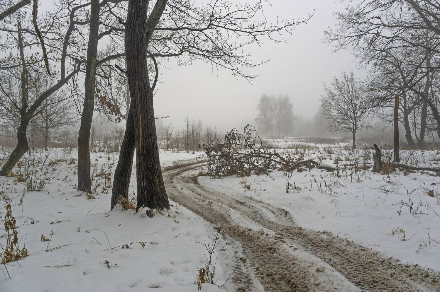 , Шитов Александр