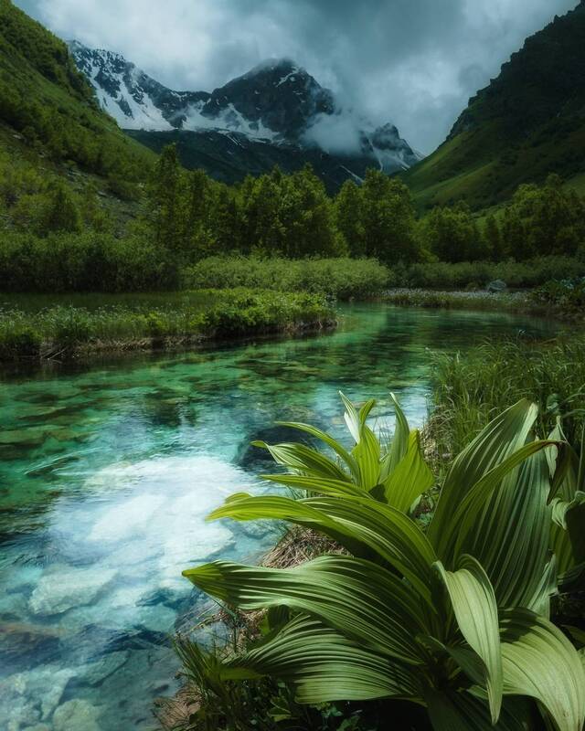 р. Бадук фото превью