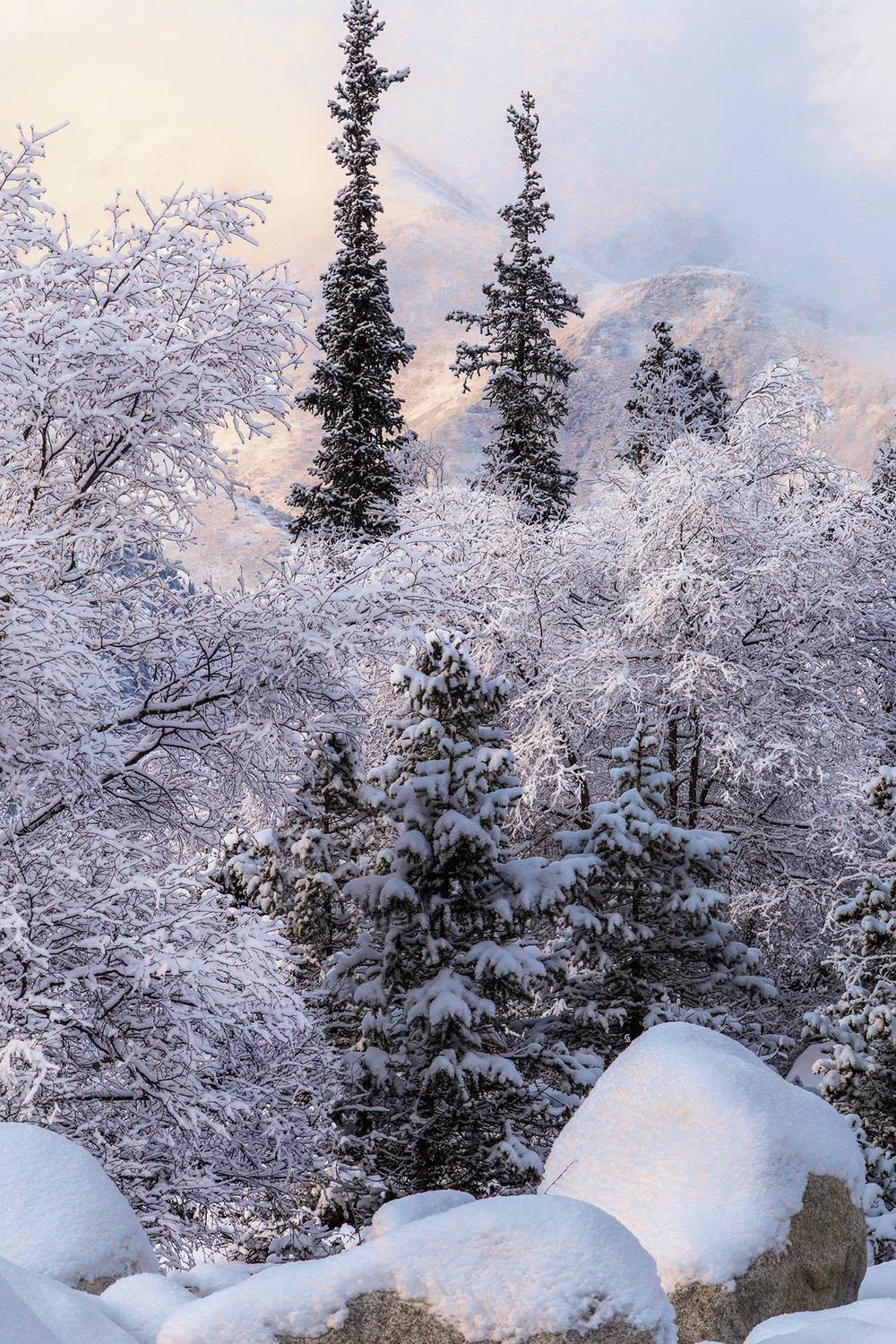 кыргызстан, ала-арча, Элина Магалимова