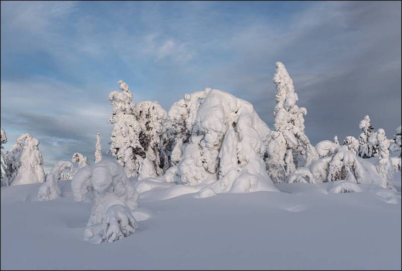 Разные состояния зимнего леса на сопках фото превью