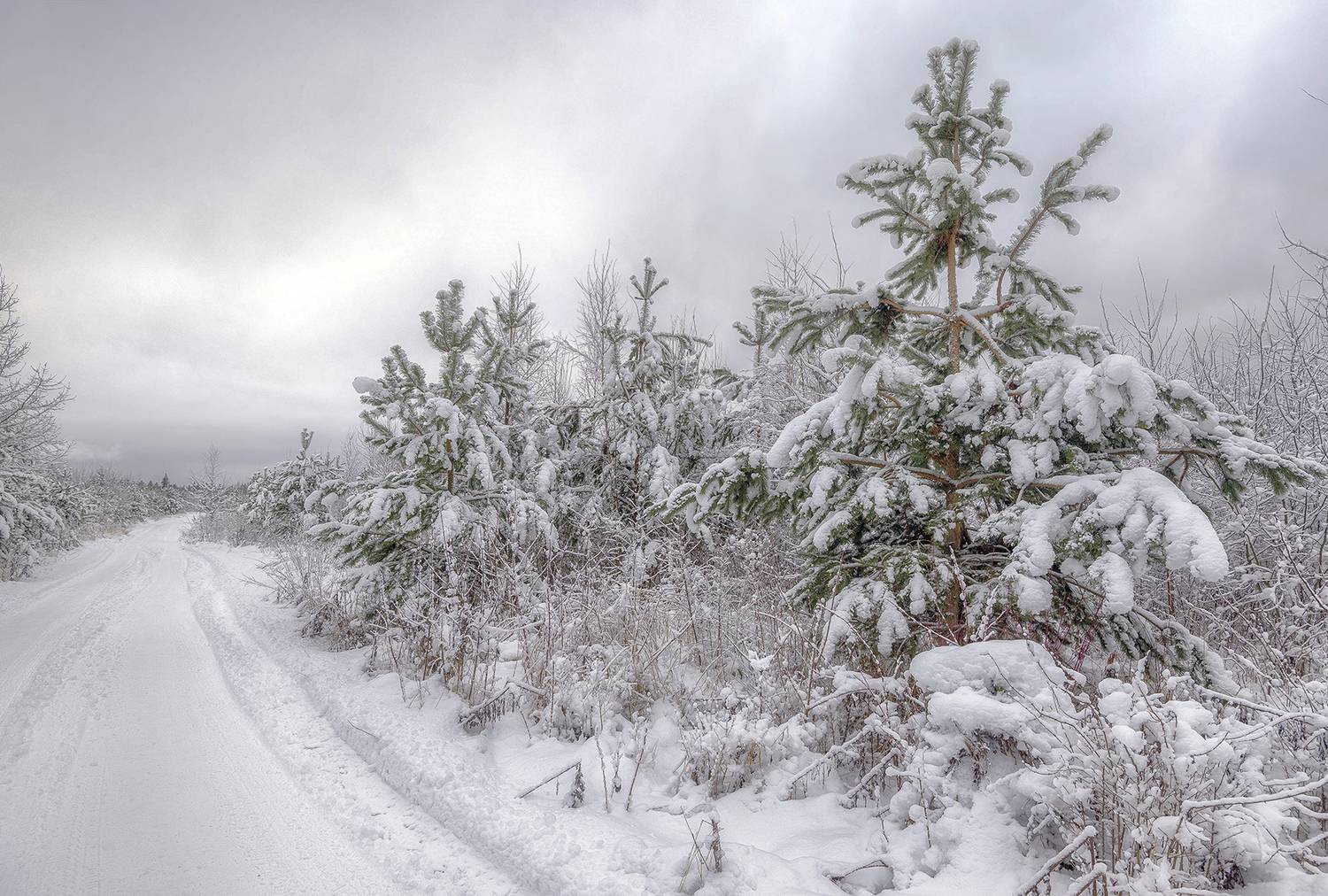 , Сергей Аникин
