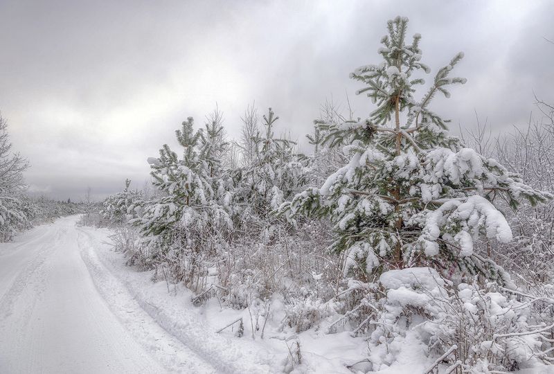 фото превью