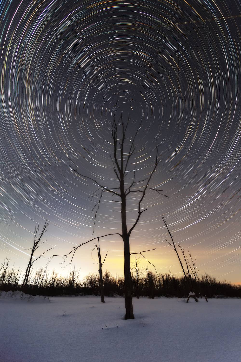 , Lozhkin Vyacheslav