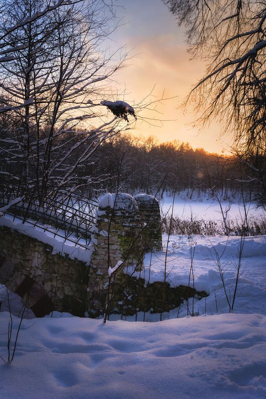 *** фото превью