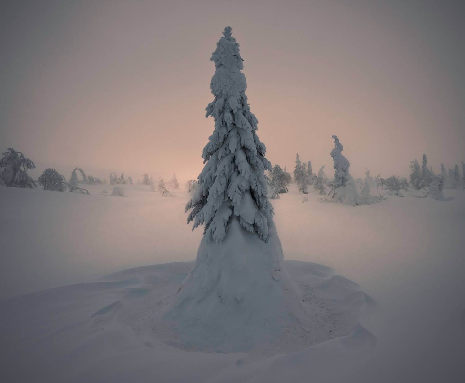 , Ширгин Сергей