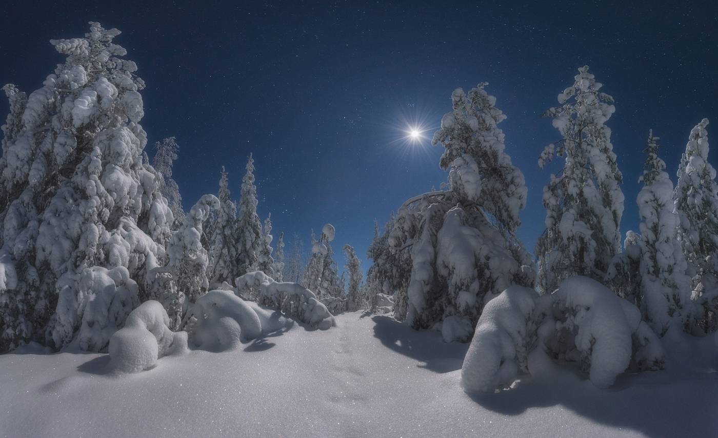 , Михаил Устюжанин