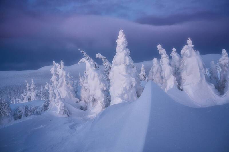 В царстве зимы фото превью