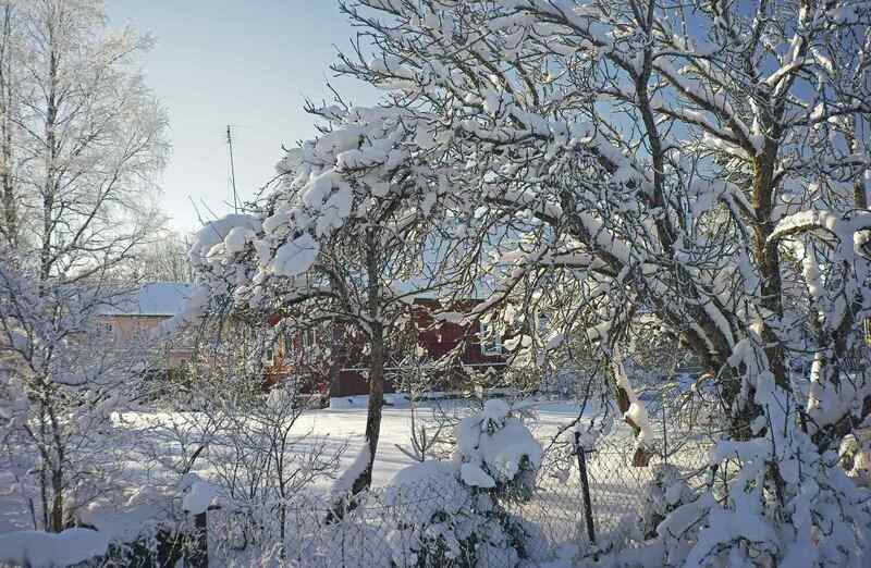 *** фото превью