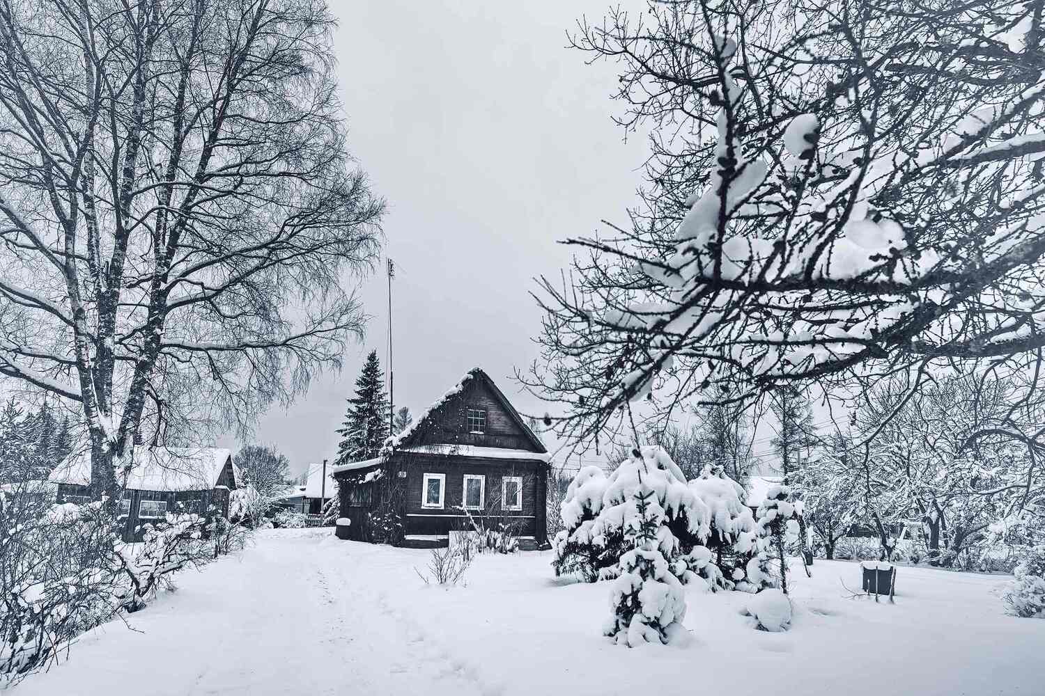 , Орлов Олег