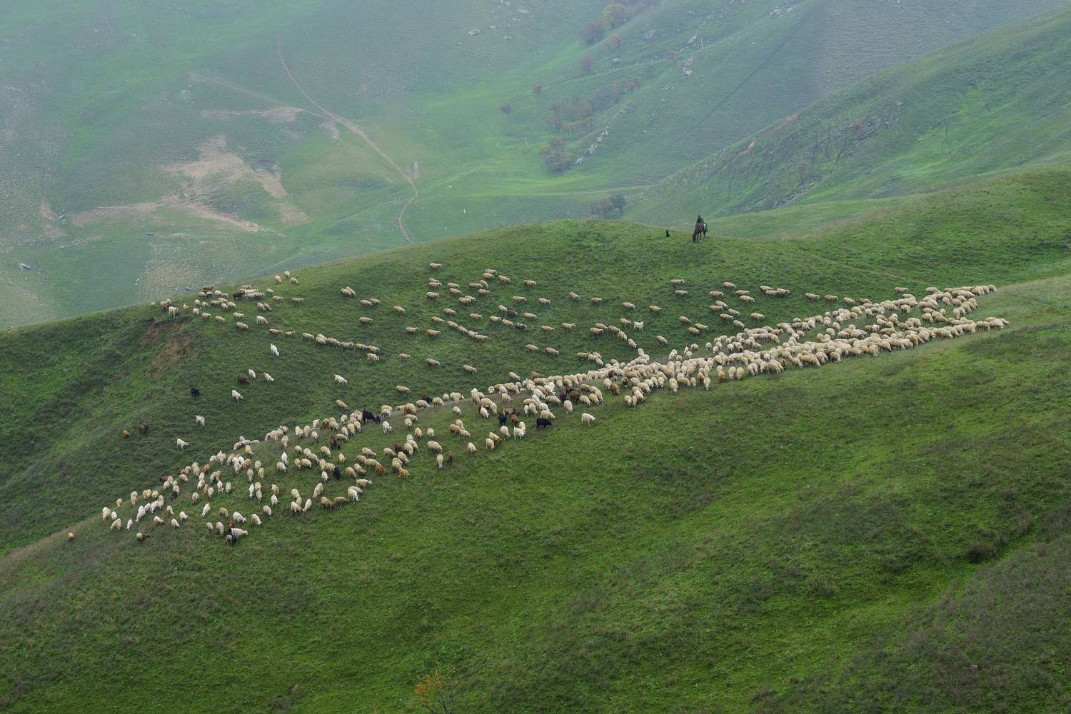 , Пупонин Сергей