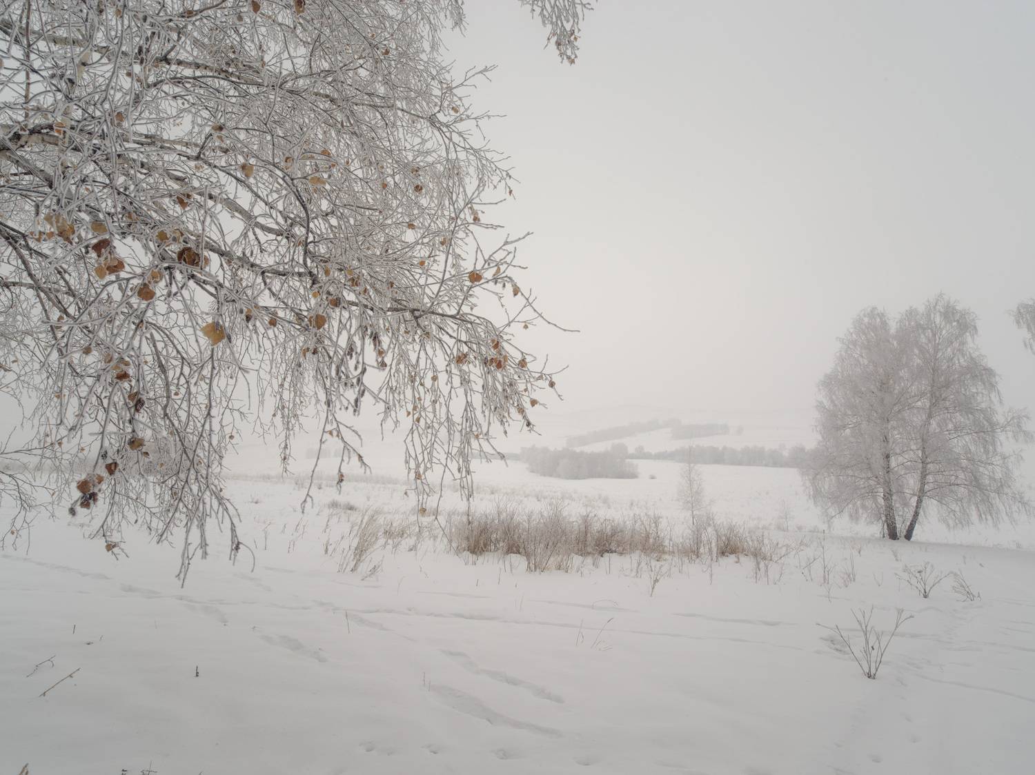 , Шустиков Дмитрий