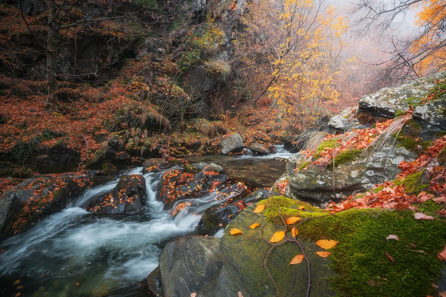 , Mariyana Atanasova - Lucero