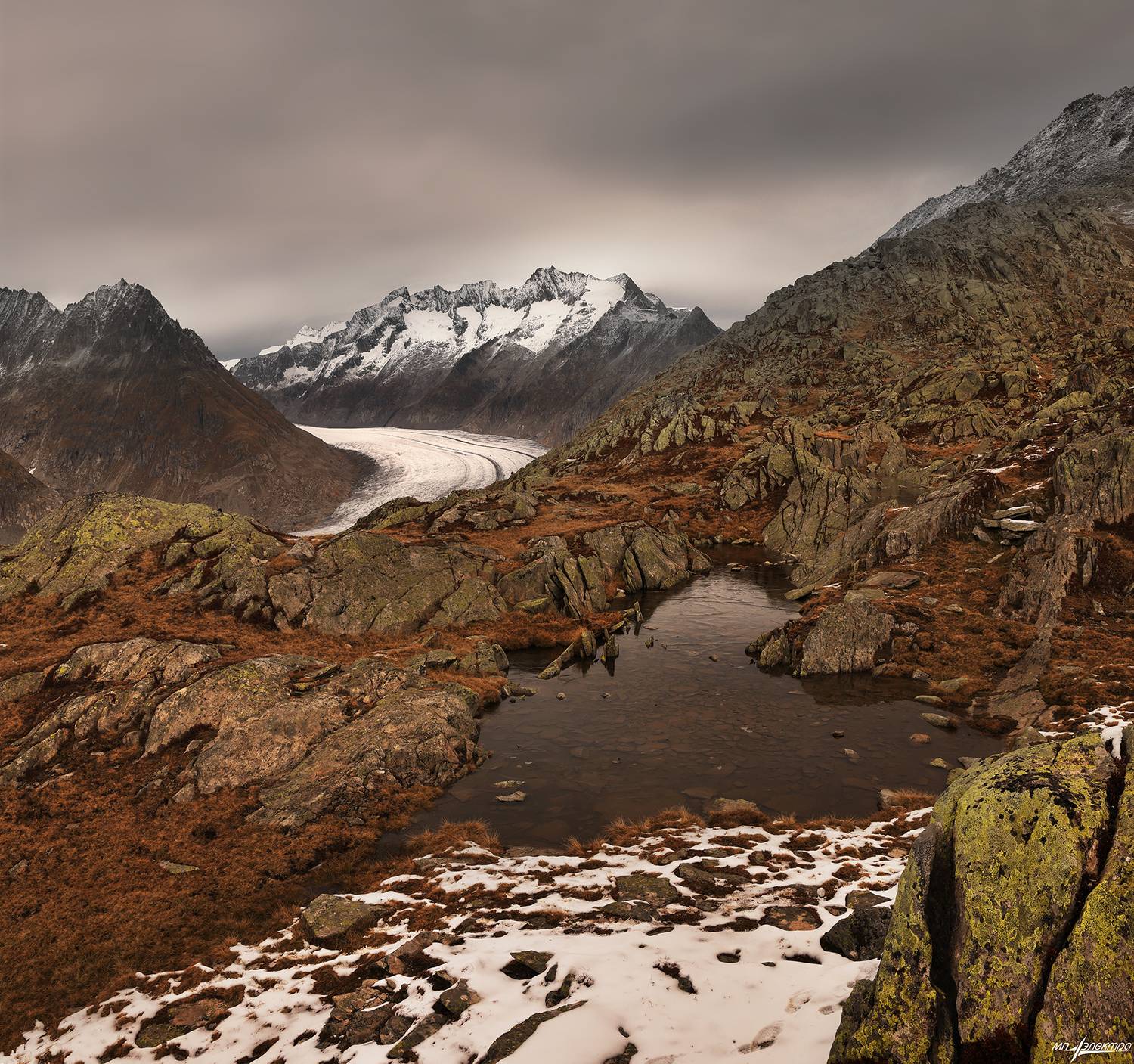 swiss, Матвеев Николай