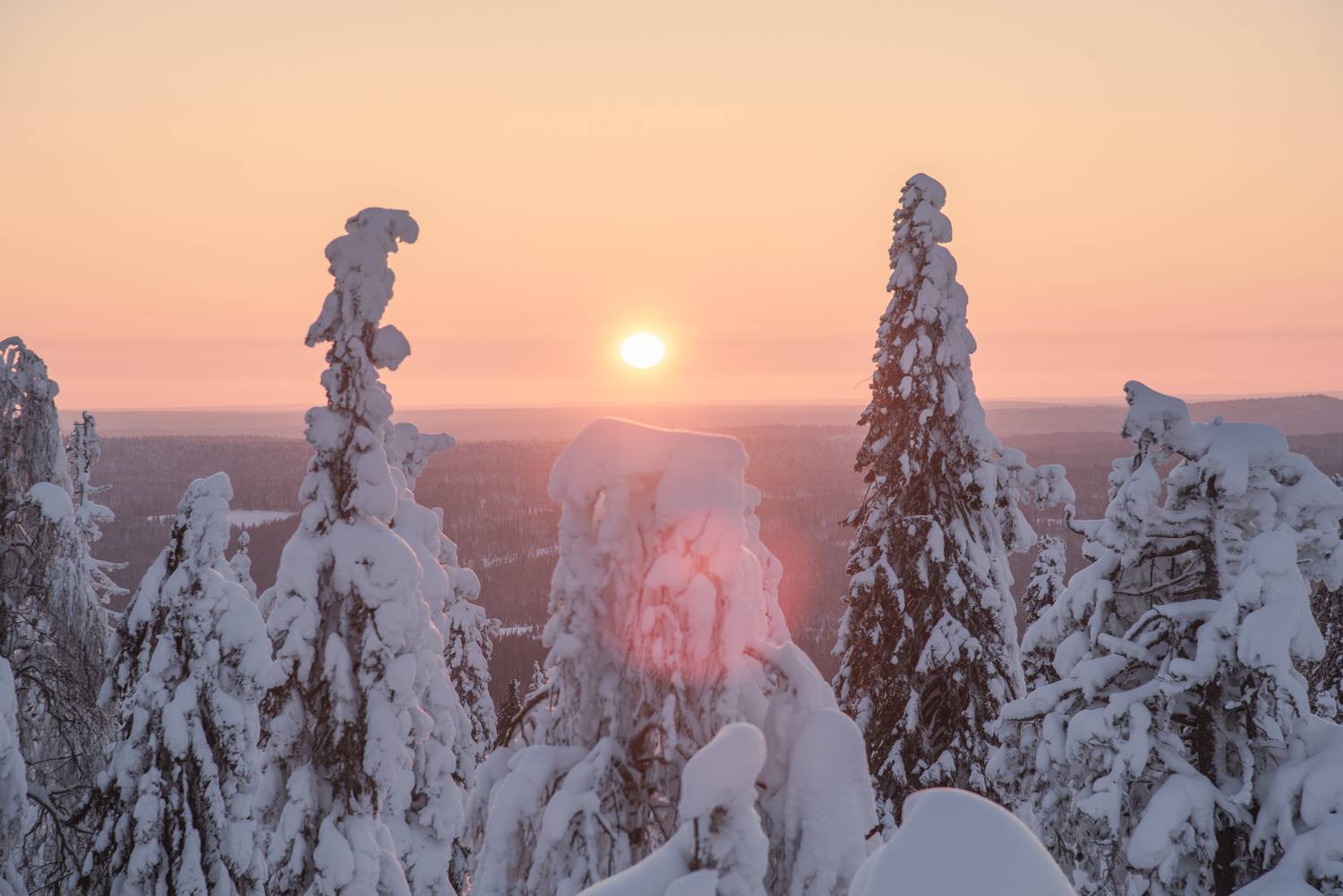 , Малыгин Андрей
