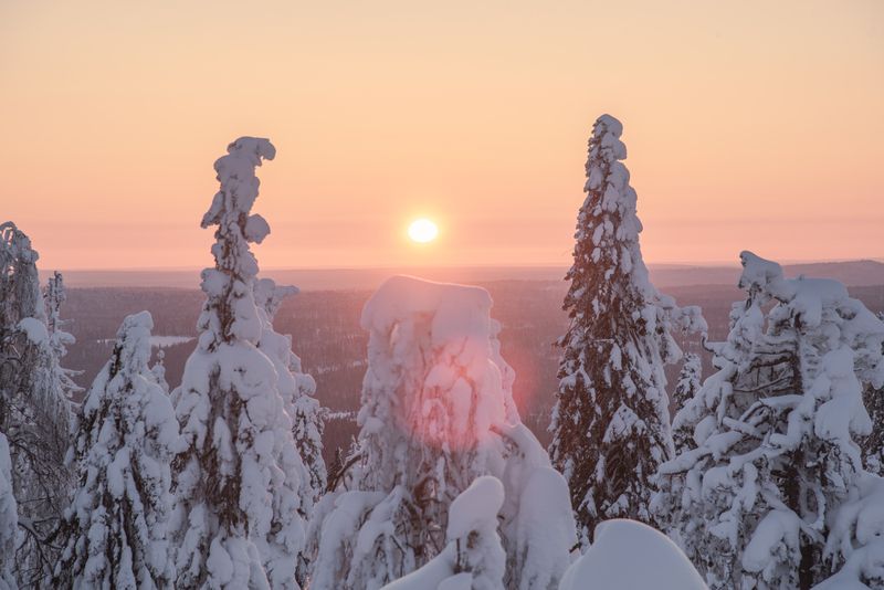 Закат в тайге фото превью