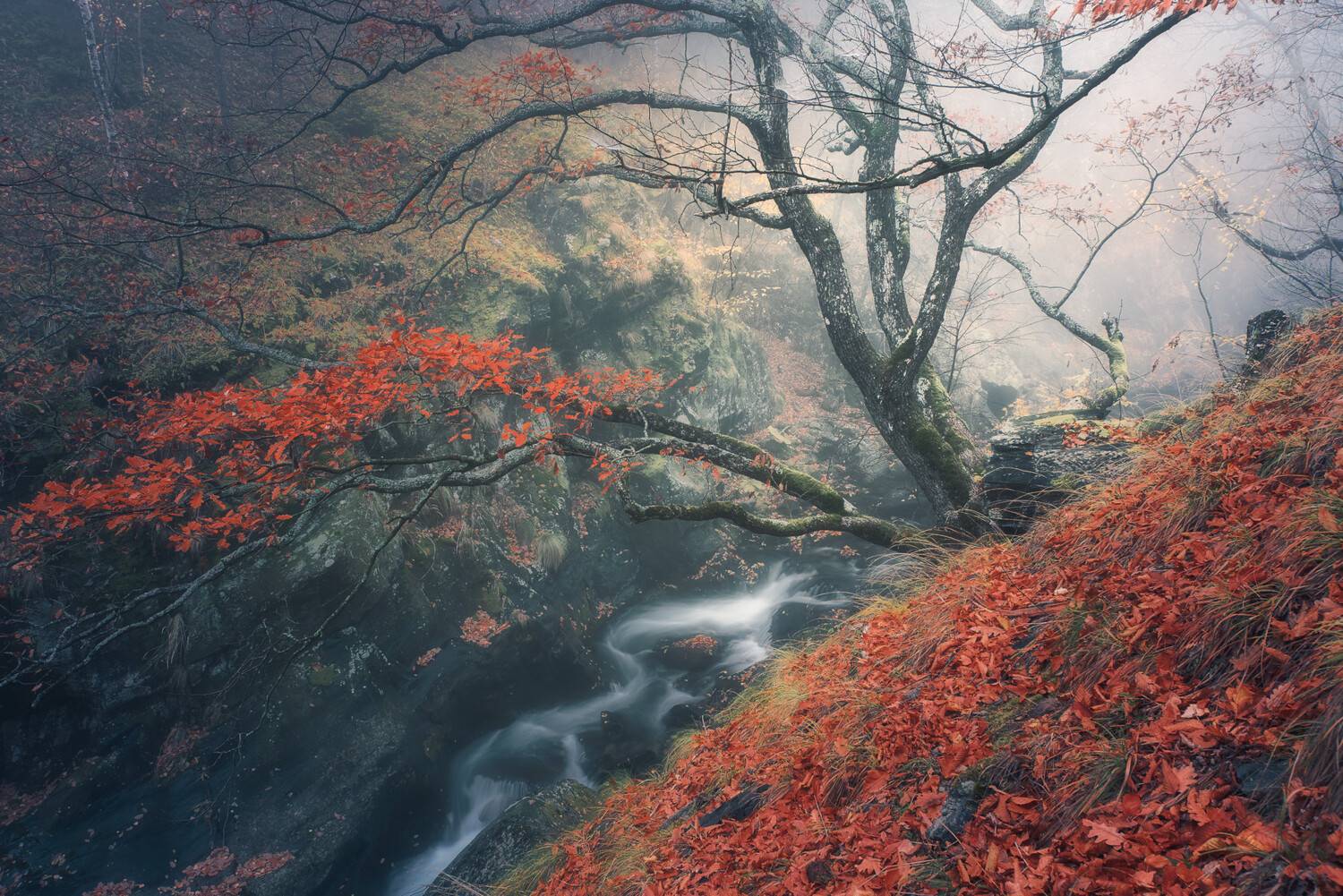 , Mariyana Atanasova - Lucero