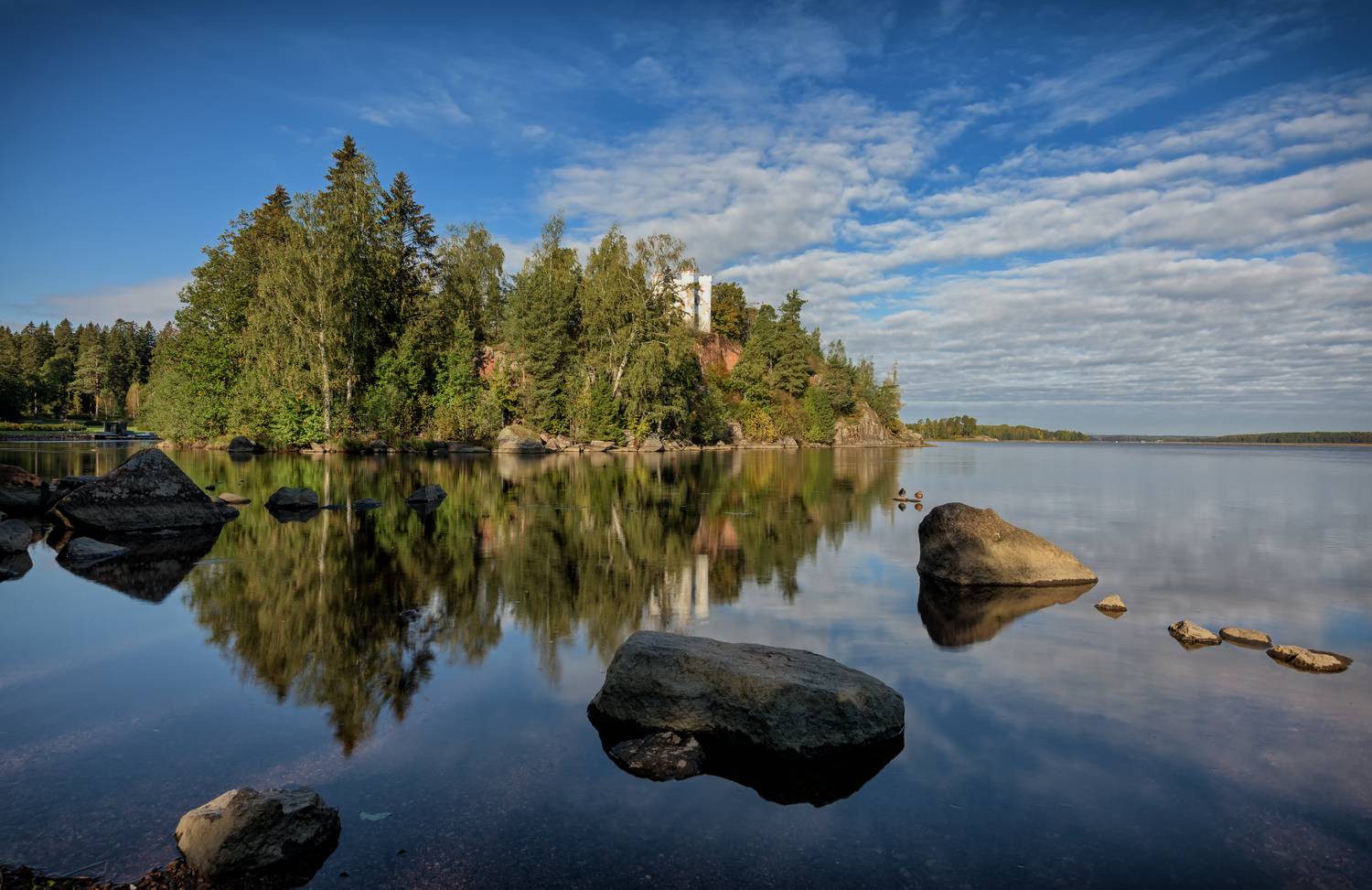 выборг., парк, монрепо., осень., Тихонов Дмитрий