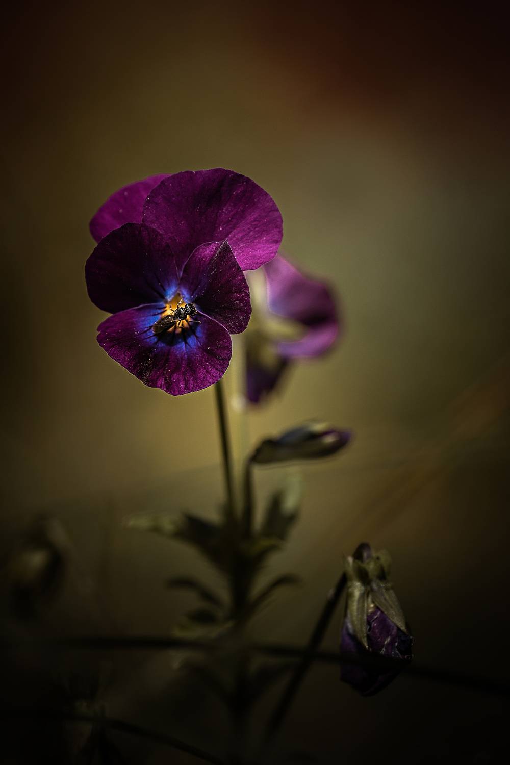 , Сергей Белокуров