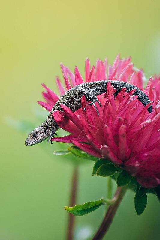Заскочила на минутку фото превью