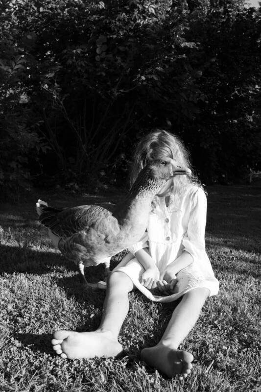 детство, дети, воспоминания, воспоминания о детстве, черно-белая фотография Где живет лето фото превью