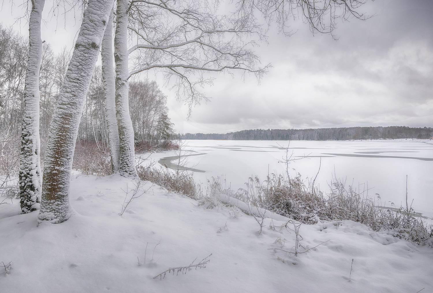 , Сергей Аникин