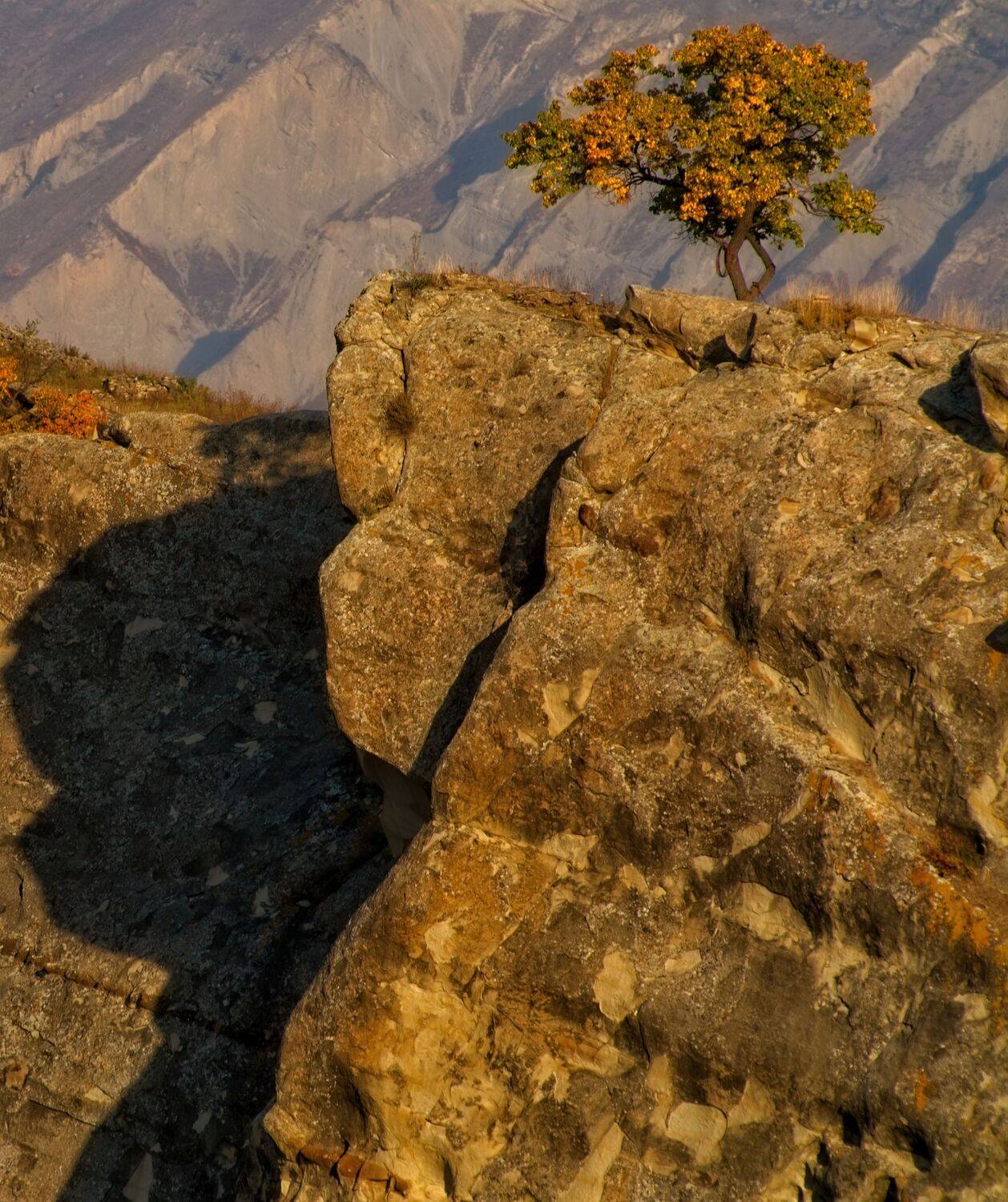 , Игорь Щербаков