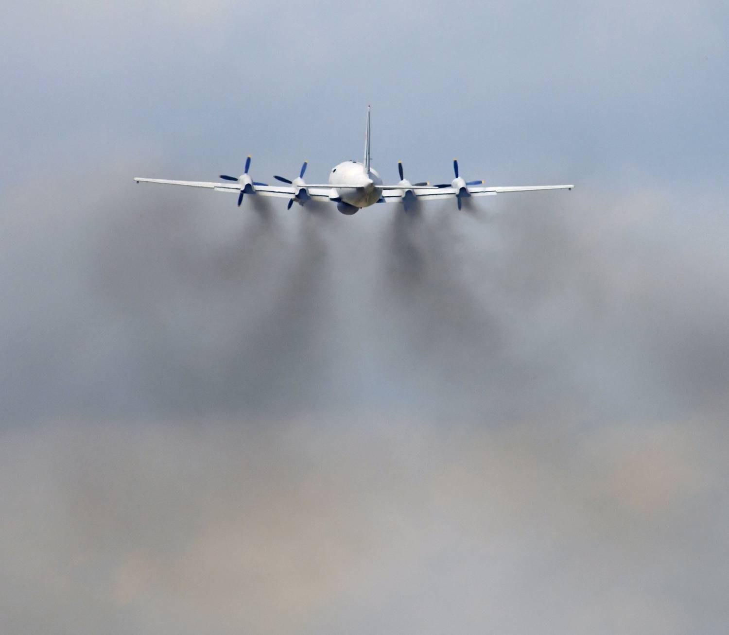 , Андрей Петросян