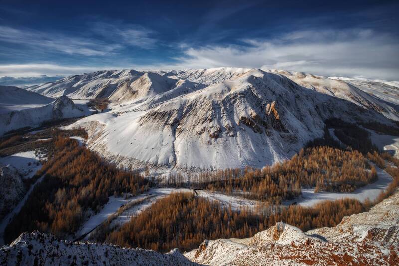 Планета Кокоря фото превью
