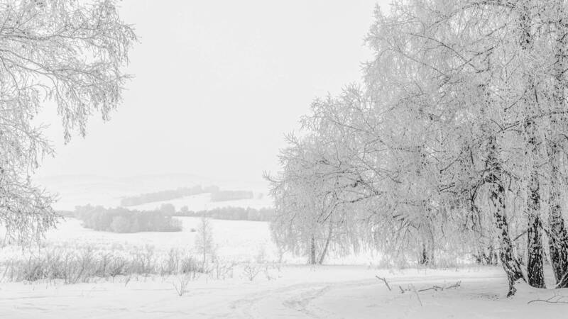 белая зима фото превью