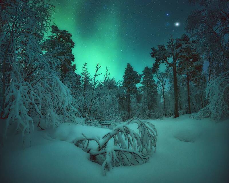 Зимний сон в оттенках бирюзы фото превью