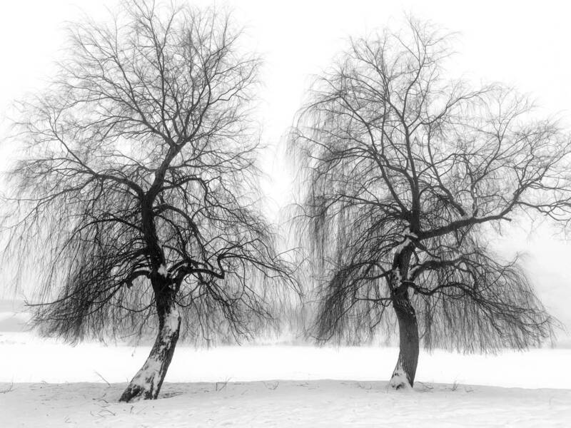 Двое фото превью