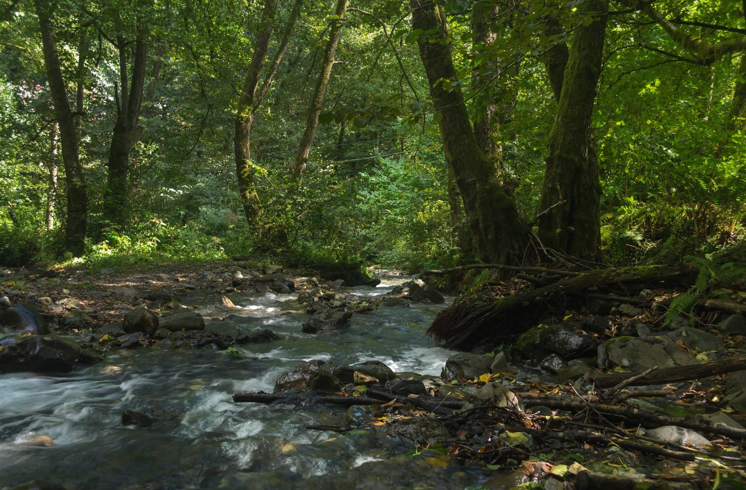 , Лысенко Сергей