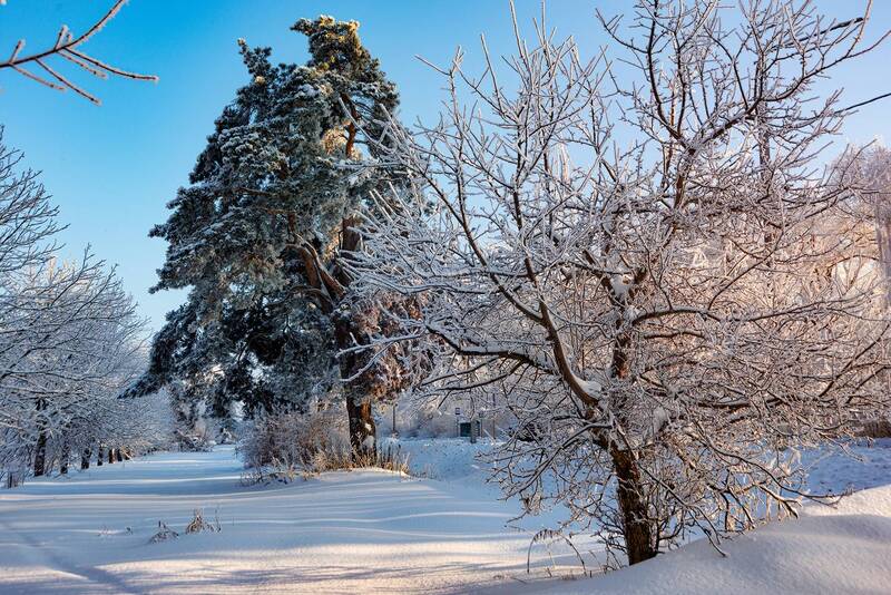 Придорожный пейзаж фото превью
