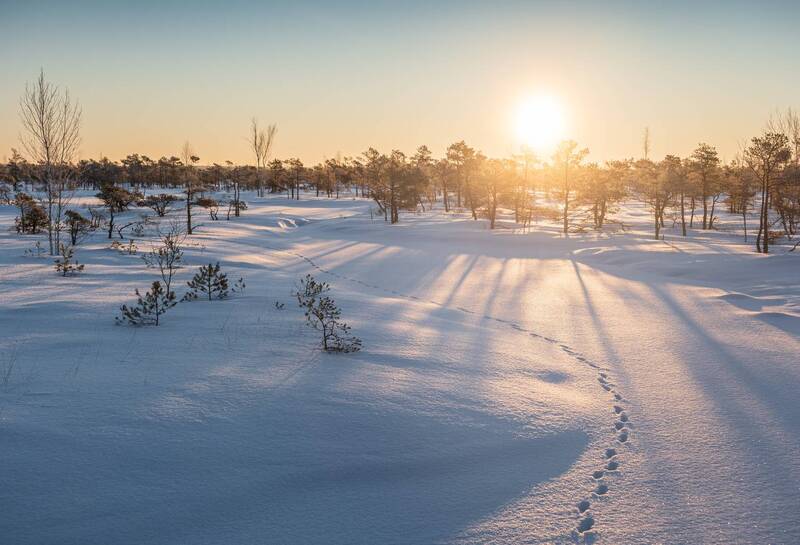 Зимним утром фото превью