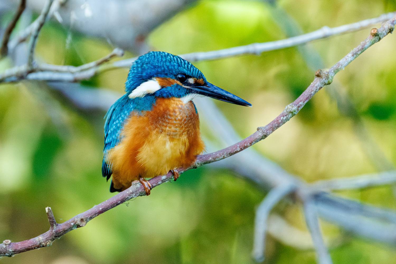 , ssmirs Сергей