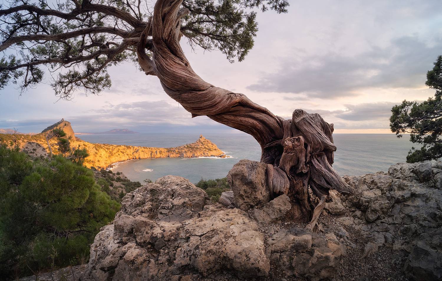 , Андрей Родионов