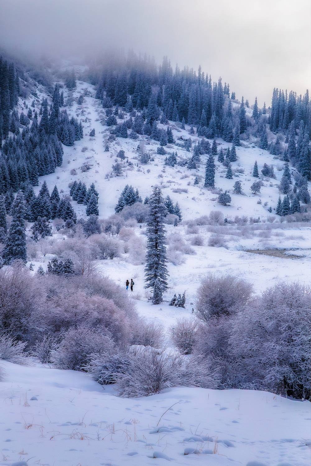 кыргызстан, ала-арча, Элина Магалимова
